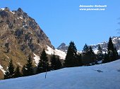 Da Valcanale-Alpe Corte salita con tanta neve a Cima Giovanni Paolo II il 23 aprile 09 - FOTOGALLERY